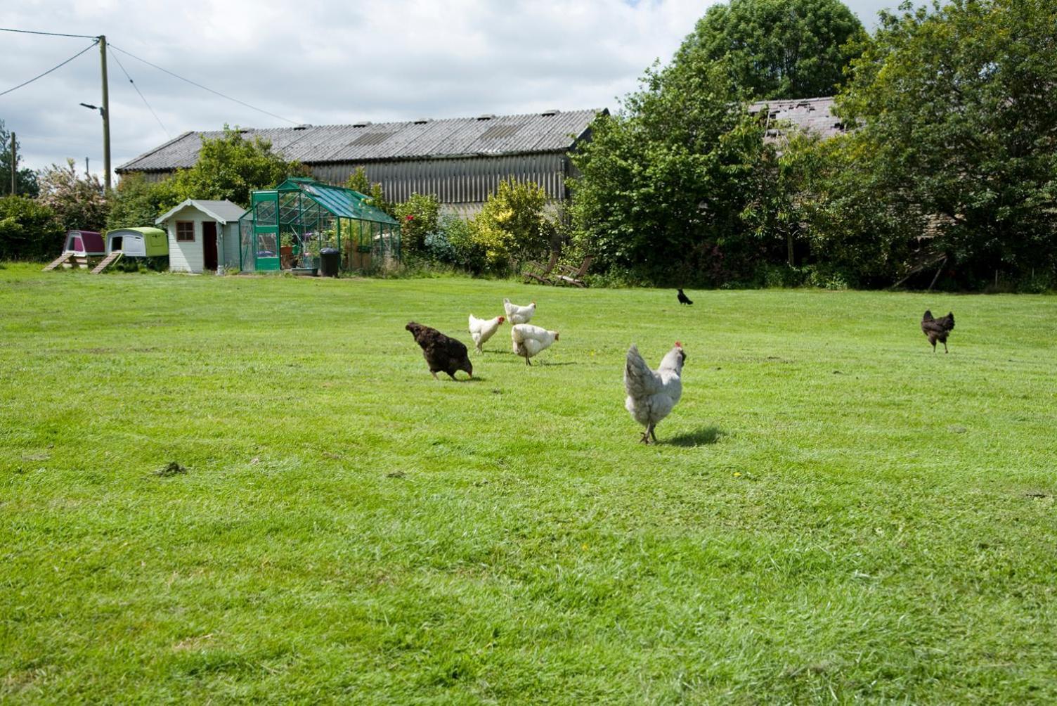 Apartmán Padley Farm Bradfield Exteriér fotografie